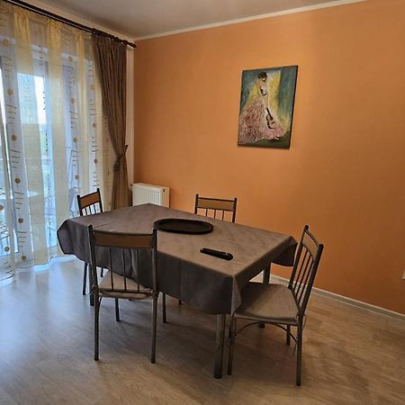 Elissa Apartment 布拉索夫 外观 照片
