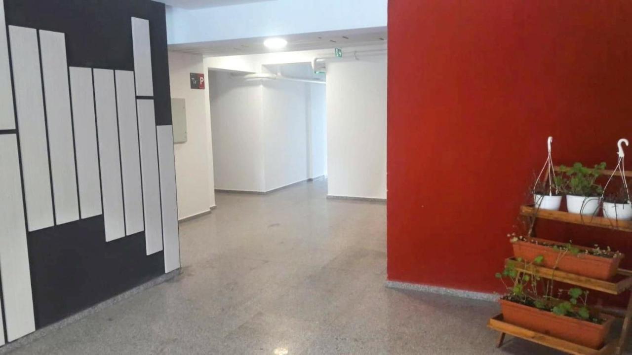 Elissa Apartment 布拉索夫 外观 照片